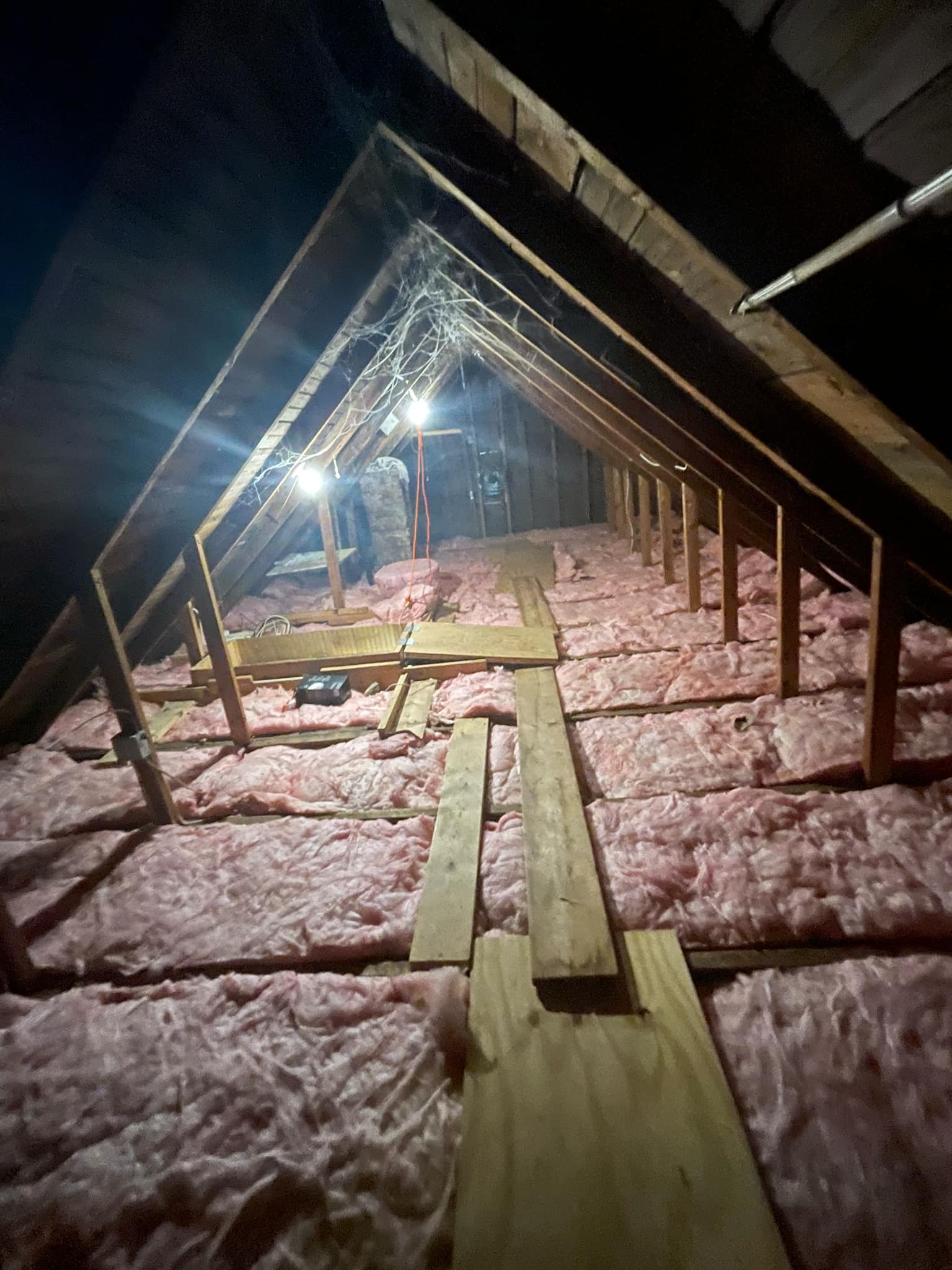 Attic entry point where bats access a home, inspected as part of our bat removal and exclusion service