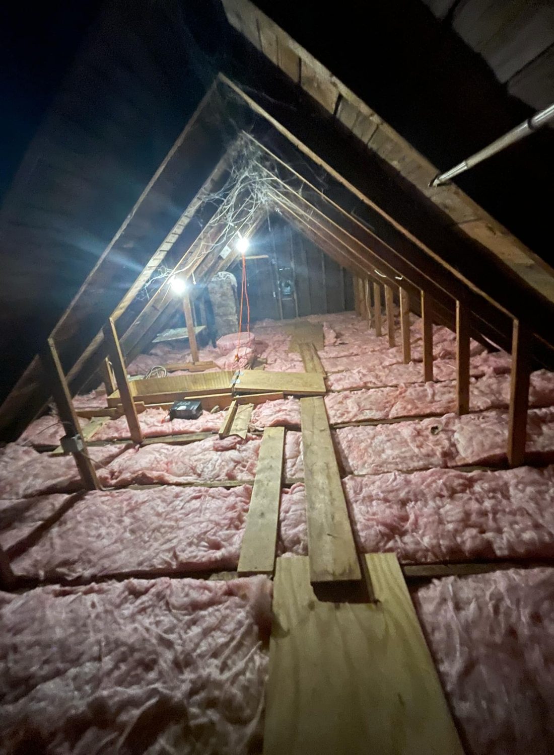 Attic entry point where bats access a home, inspected as part of our bat removal and exclusion service